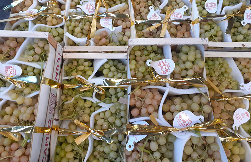 Uva Italia - Puglia - 2,50 euro al chilogrammo